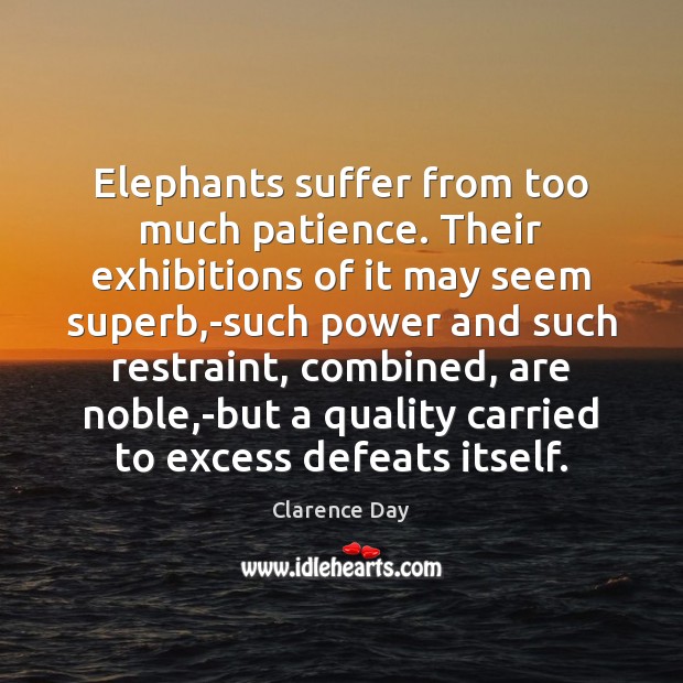 Elephants suffer from too much patience. Their exhibitions of it may seem Clarence Day Picture Quote
