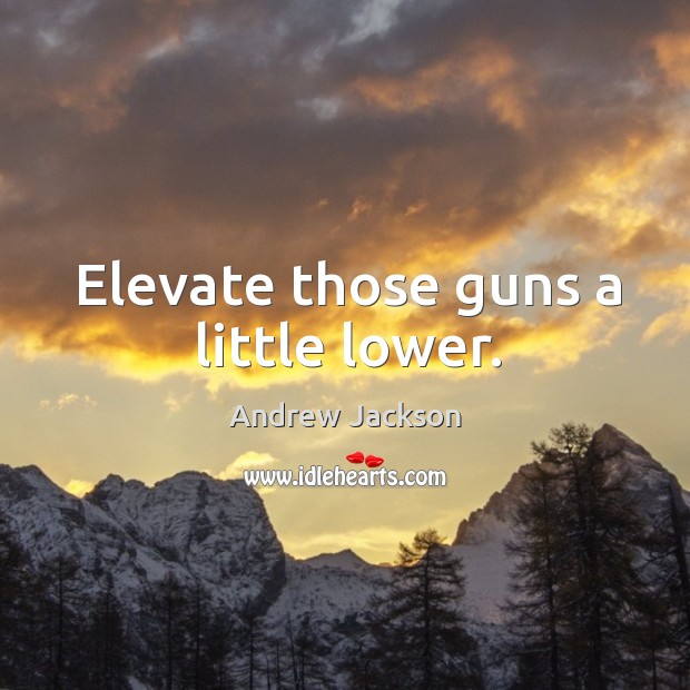 Elevate those guns a little lower. Andrew Jackson Picture Quote
