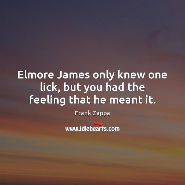 Elmore James only knew one lick, but you had the feeling that he meant it. Frank Zappa Picture Quote
