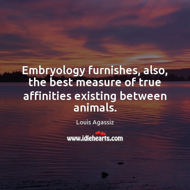 Embryology furnishes, also, the best measure of true affinities existing between animals. Louis Agassiz Picture Quote