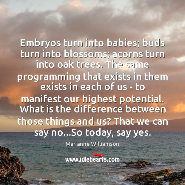Embryos turn into babies; buds turn into blossoms; acorns turn into oak Marianne Williamson Picture Quote