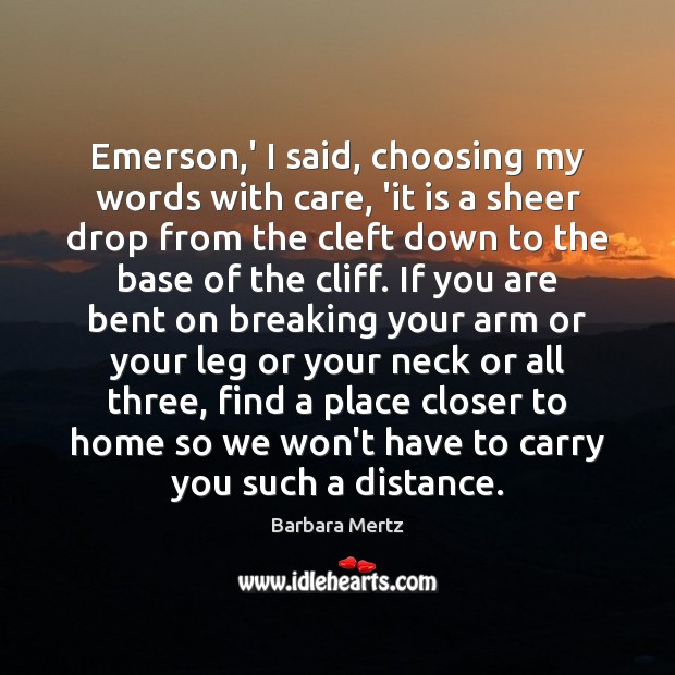 Emerson,’ I said, choosing my words with care, ‘it is a Image