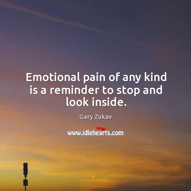 Emotional pain of any kind is a reminder to stop and look inside. Gary Zukav Picture Quote