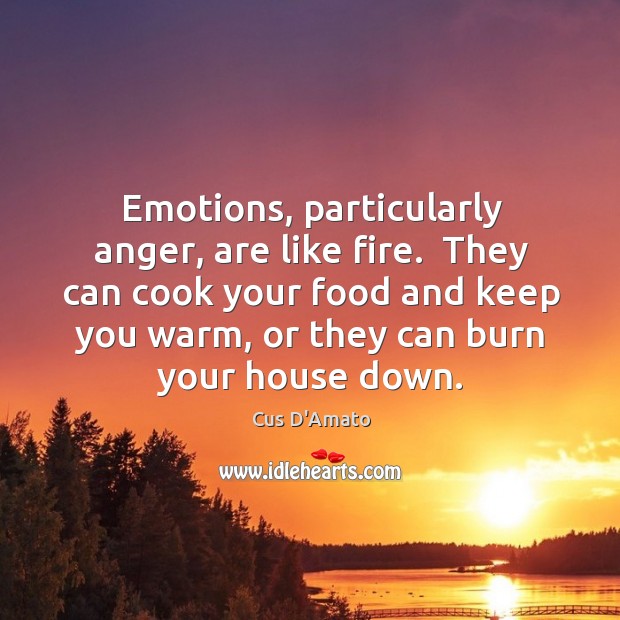 Emotions, particularly anger, are like fire.  They can cook your food and Cus D’Amato Picture Quote
