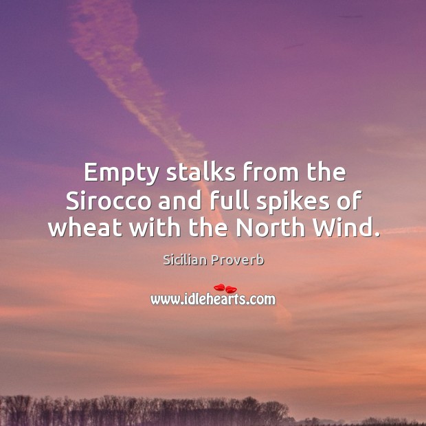 Empty stalks from the sirocco and full spikes of wheat with the north wind. Image