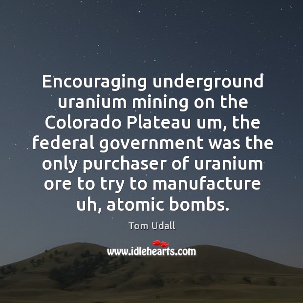 Encouraging underground uranium mining on the colorado plateau um Tom Udall Picture Quote