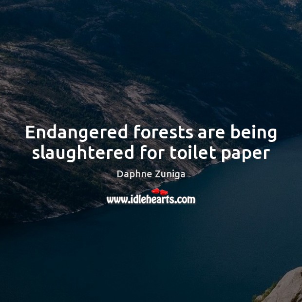 Endangered forests are being slaughtered for toilet paper Daphne Zuniga Picture Quote