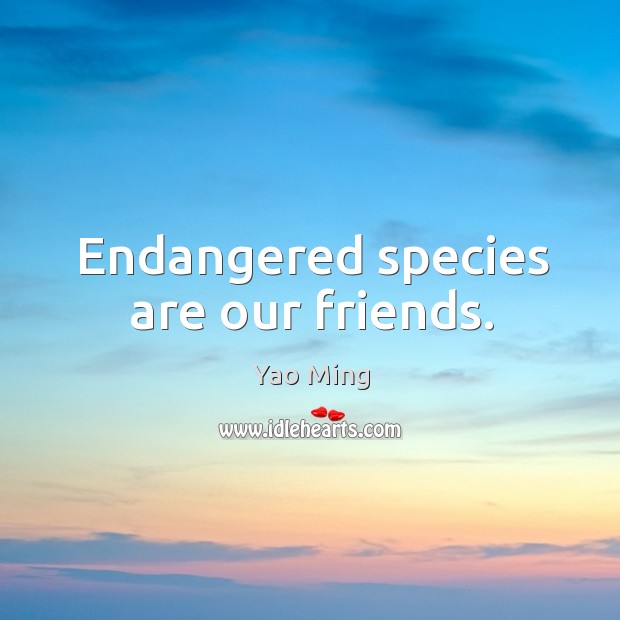 Endangered species are our friends. Yao Ming Picture Quote