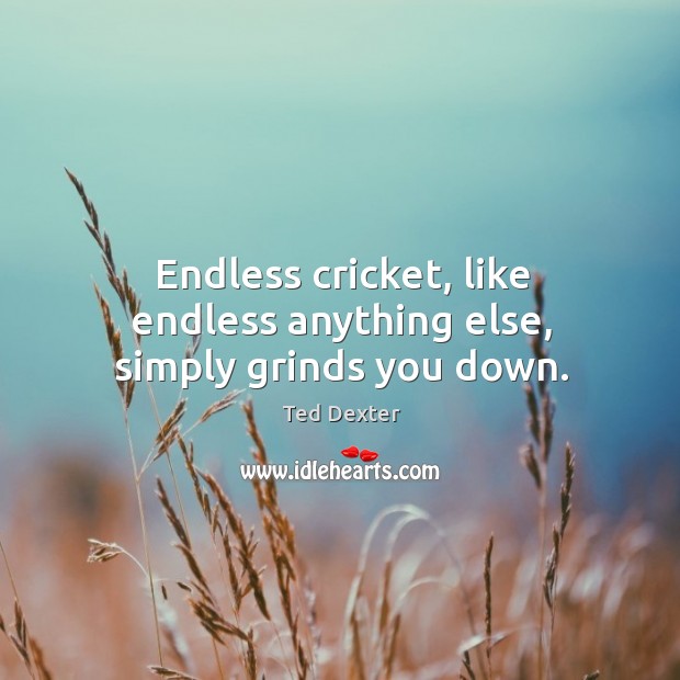 Endless cricket, like endless anything else, simply grinds you down. Image