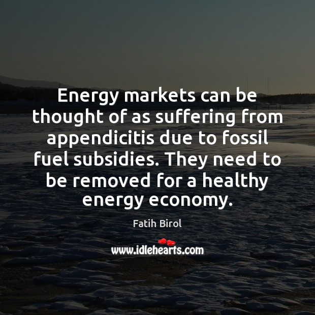 Energy markets can be thought of as suffering from appendicitis due to Economy Quotes Image