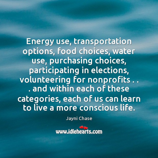 Energy use, transportation options, food choices, water use, purchasing choices, participating in Jayni Chase Picture Quote