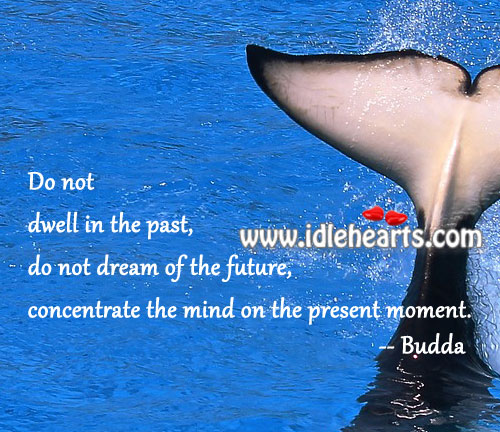 Don’t dwell in the past Wise Quotes Image