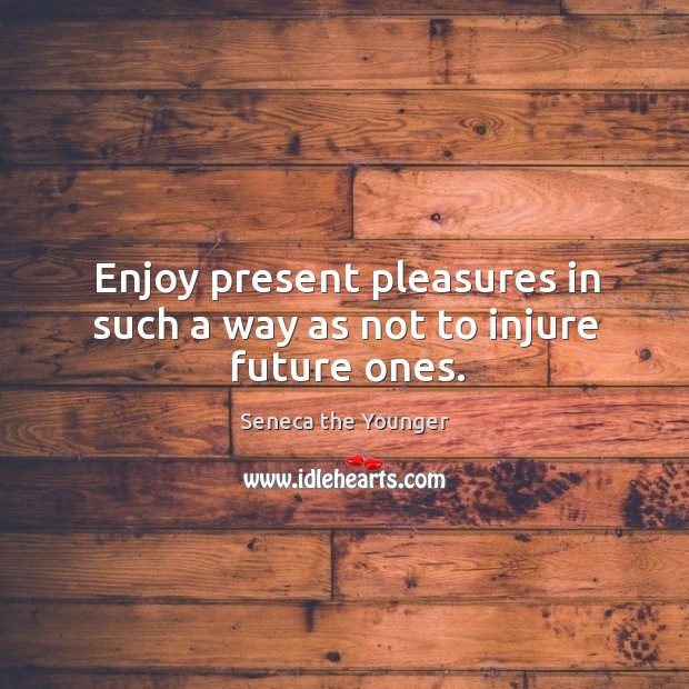 Enjoy present pleasures in such a way as not to injure future ones. Seneca the Younger Picture Quote