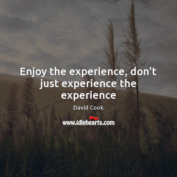 Enjoy the experience, don’t just experience the experience David Cook Picture Quote