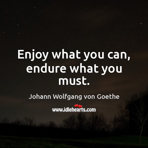 Enjoy what you can, endure what you must. Johann Wolfgang von Goethe Picture Quote