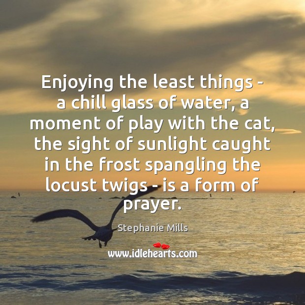 Enjoying the least things – a chill glass of water, a moment Stephanie Mills Picture Quote