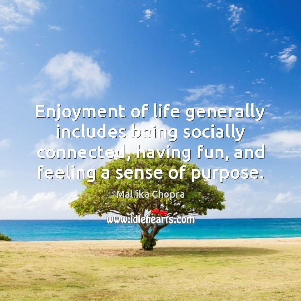 Enjoyment of life generally includes being socially connected, having fun, and feeling Image