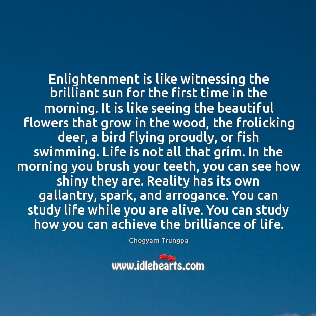 Enlightenment is like witnessing the brilliant sun for the first time in Chogyam Trungpa Picture Quote