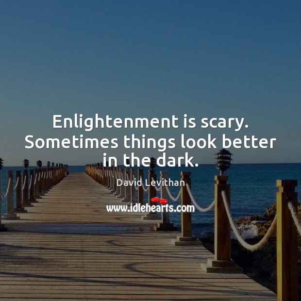 Enlightenment is scary. Sometimes things look better in the dark. David Levithan Picture Quote