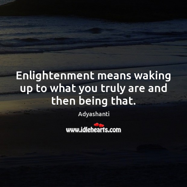 Enlightenment means waking up to what you truly are and then being that. Adyashanti Picture Quote