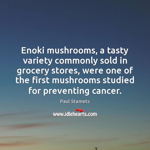 Enoki mushrooms, a tasty variety commonly sold in grocery stores, were one Paul Stamets Picture Quote