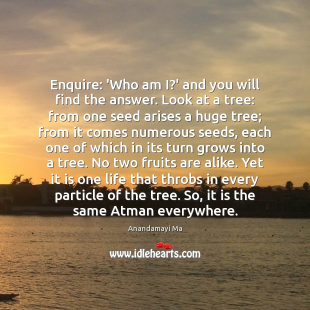 Enquire: ‘Who am I?’ and you will find the answer. Look Anandamayi Ma Picture Quote