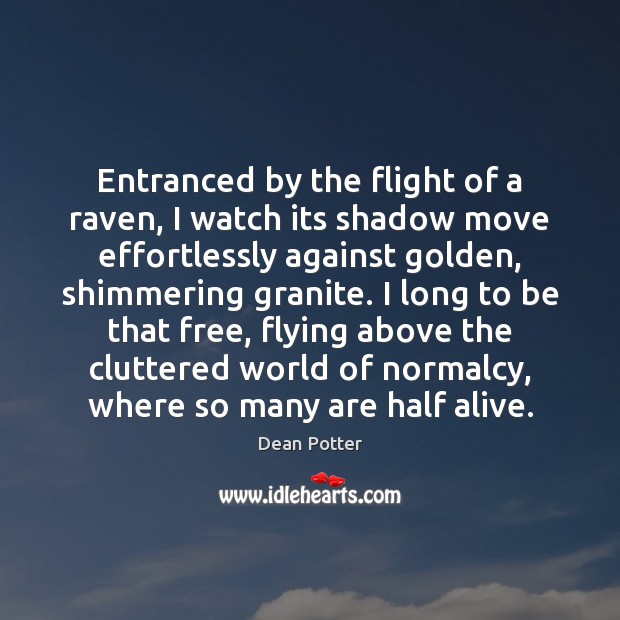 Entranced by the flight of a raven, I watch its shadow move Dean Potter Picture Quote