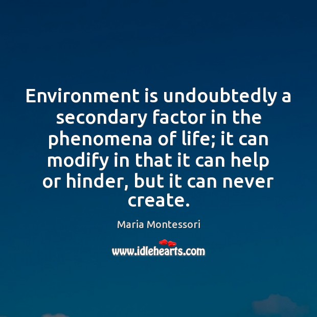 Environment is undoubtedly a secondary factor in the phenomena of life; it Maria Montessori Picture Quote