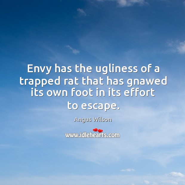 Envy has the ugliness of a trapped rat that has gnawed its own foot in its effort to escape. Angus Wilson Picture Quote