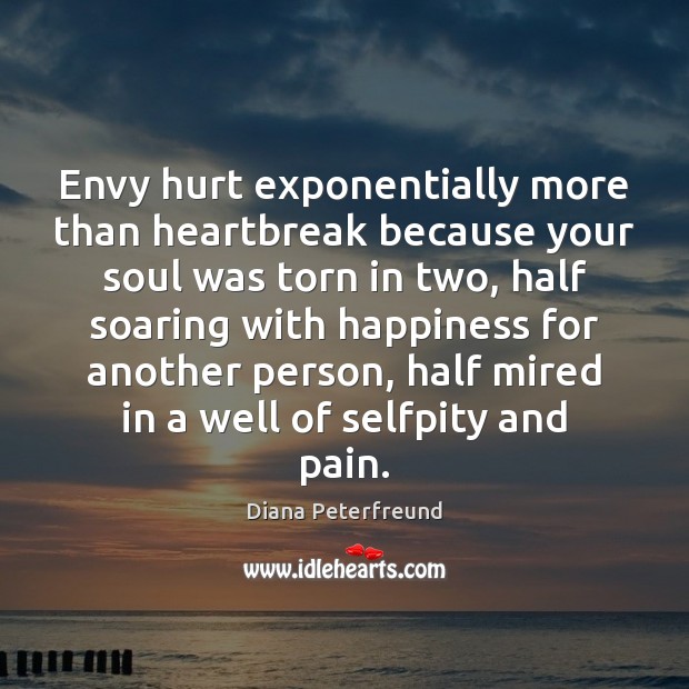 Envy hurt exponentially more than heartbreak because your soul was torn in Diana Peterfreund Picture Quote