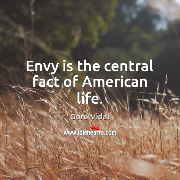 Envy is the central fact of American life. Image