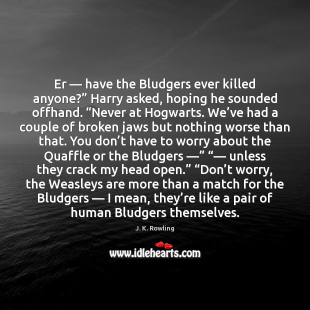 Er — have the Bludgers ever killed anyone?” Harry asked, hoping he sounded Image