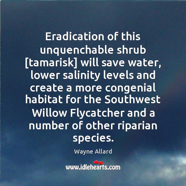 Eradication of this unquenchable shrub [tamarisk] will save water, lower salinity levels Wayne Allard Picture Quote