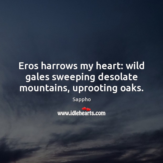 Eros harrows my heart: wild gales sweeping desolate mountains, uprooting oaks. Sappho Picture Quote