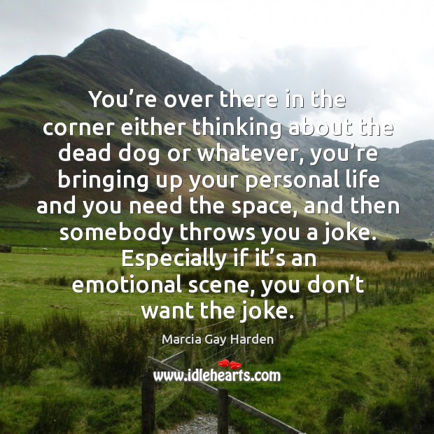 Especially if it’s an emotional scene, you don’t want the joke. Marcia Gay Harden Picture Quote