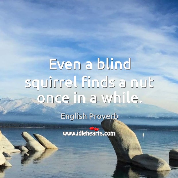 Even a blind squirrel finds a nut once in a while. English Proverbs Image