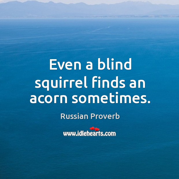 Even a blind squirrel finds an acorn sometimes. Russian Proverbs Image