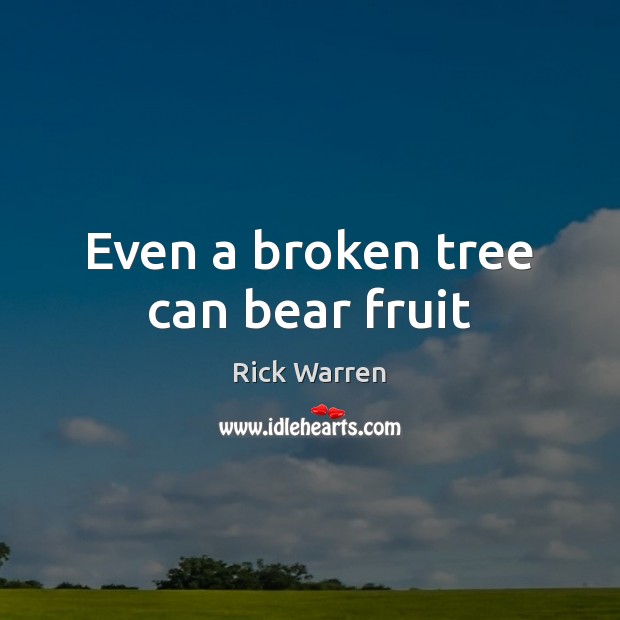 Even a broken tree can bear fruit Rick Warren Picture Quote
