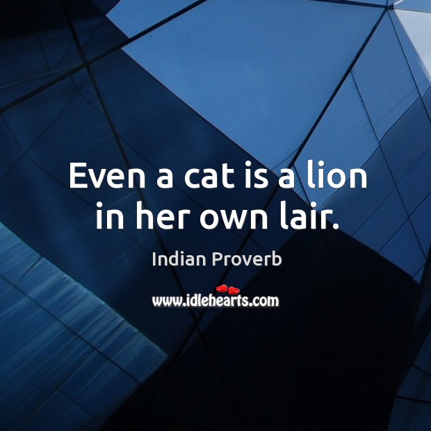 Even a cat is a lion in her own lair. Indian Proverbs Image