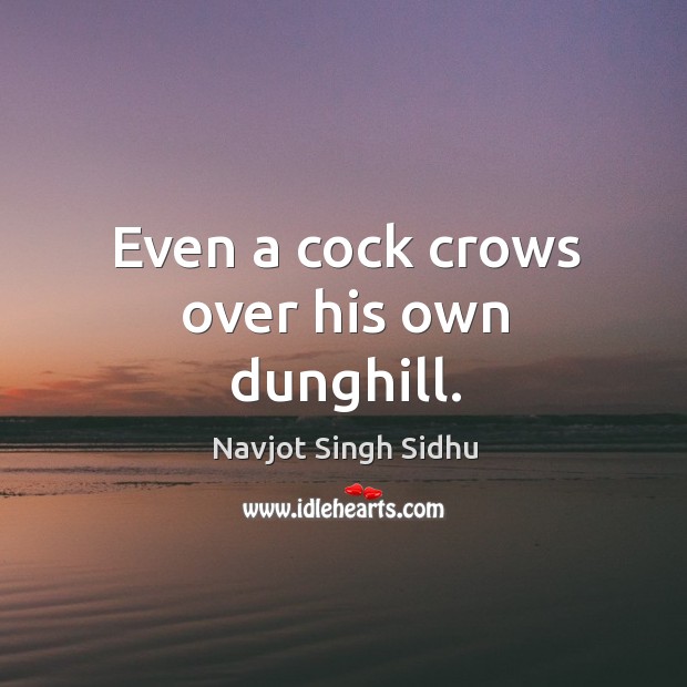 Even a cock crows over his own dunghill. Image