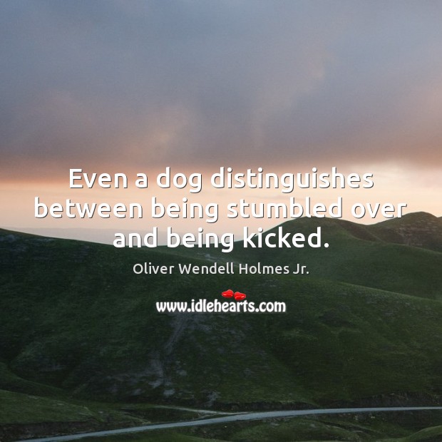 Even a dog distinguishes between being stumbled over and being kicked. Image