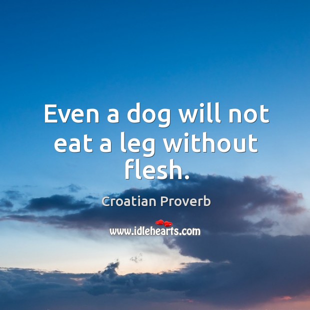 Even a dog will not eat a leg without flesh. Croatian Proverbs Image