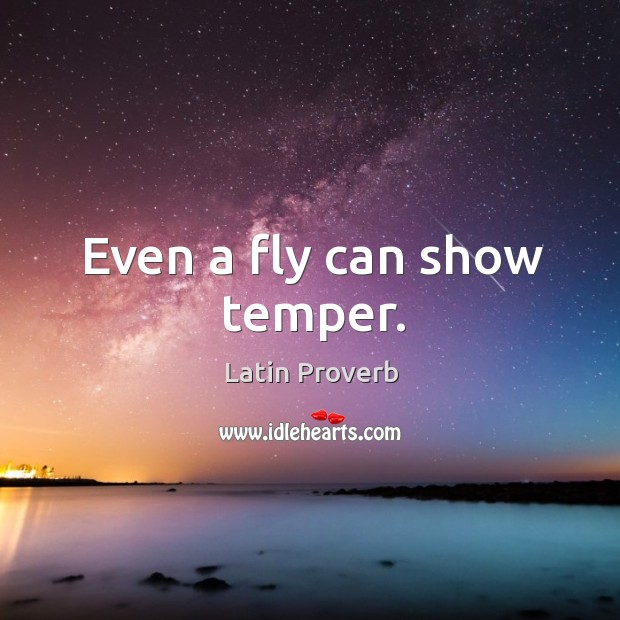 Even a fly can show temper. Latin Proverbs Image