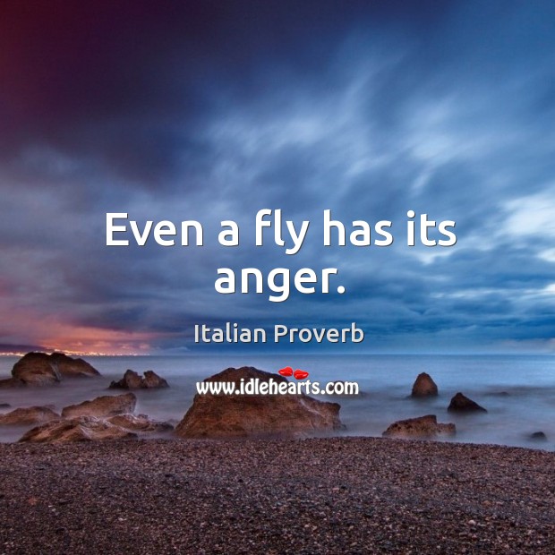 Even a fly has its anger. Image