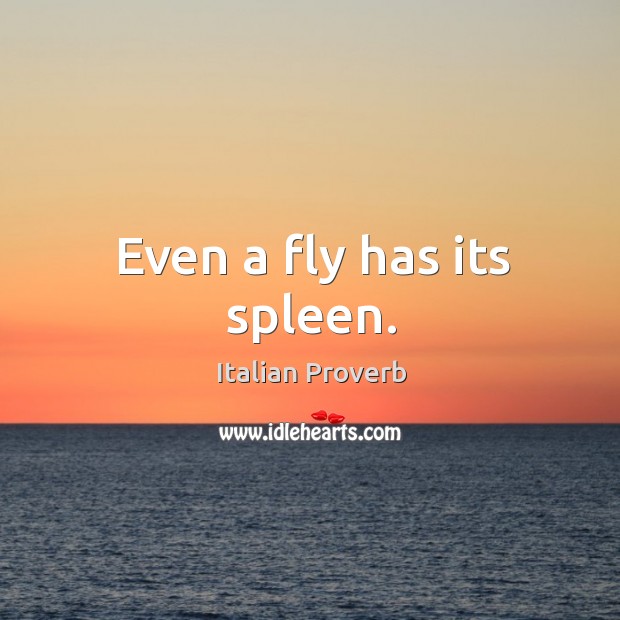 Even a fly has its spleen. Image