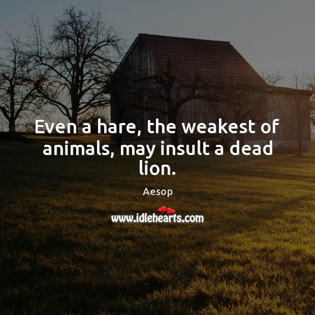 Even a hare, the weakest of animals, may insult a dead lion. Insult Quotes Image