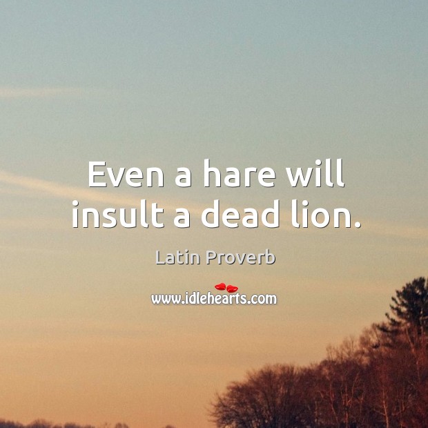 Even a hare will insult a dead lion. Latin Proverbs Image