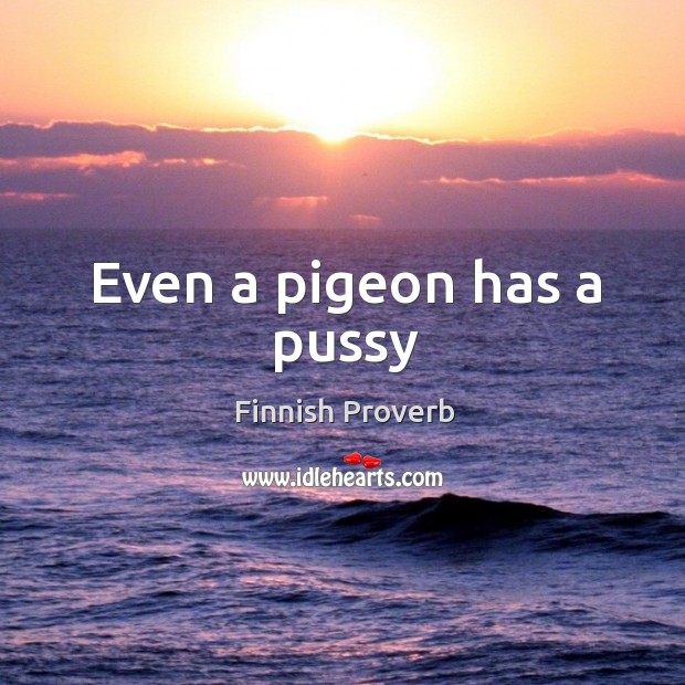 Even a pigeon has a pussy Finnish Proverbs Image