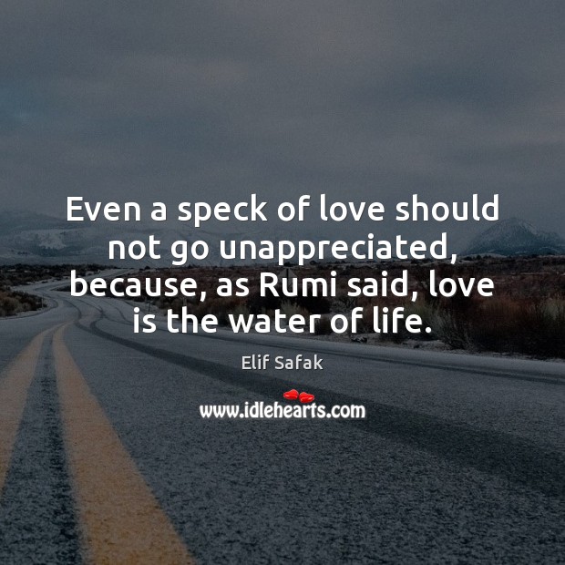Even a speck of love should not go unappreciated, because, as Rumi Unappreciated Quotes Image