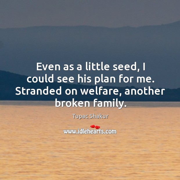 Even as a little seed, I could see his plan for me. Tupac Shakur Picture Quote